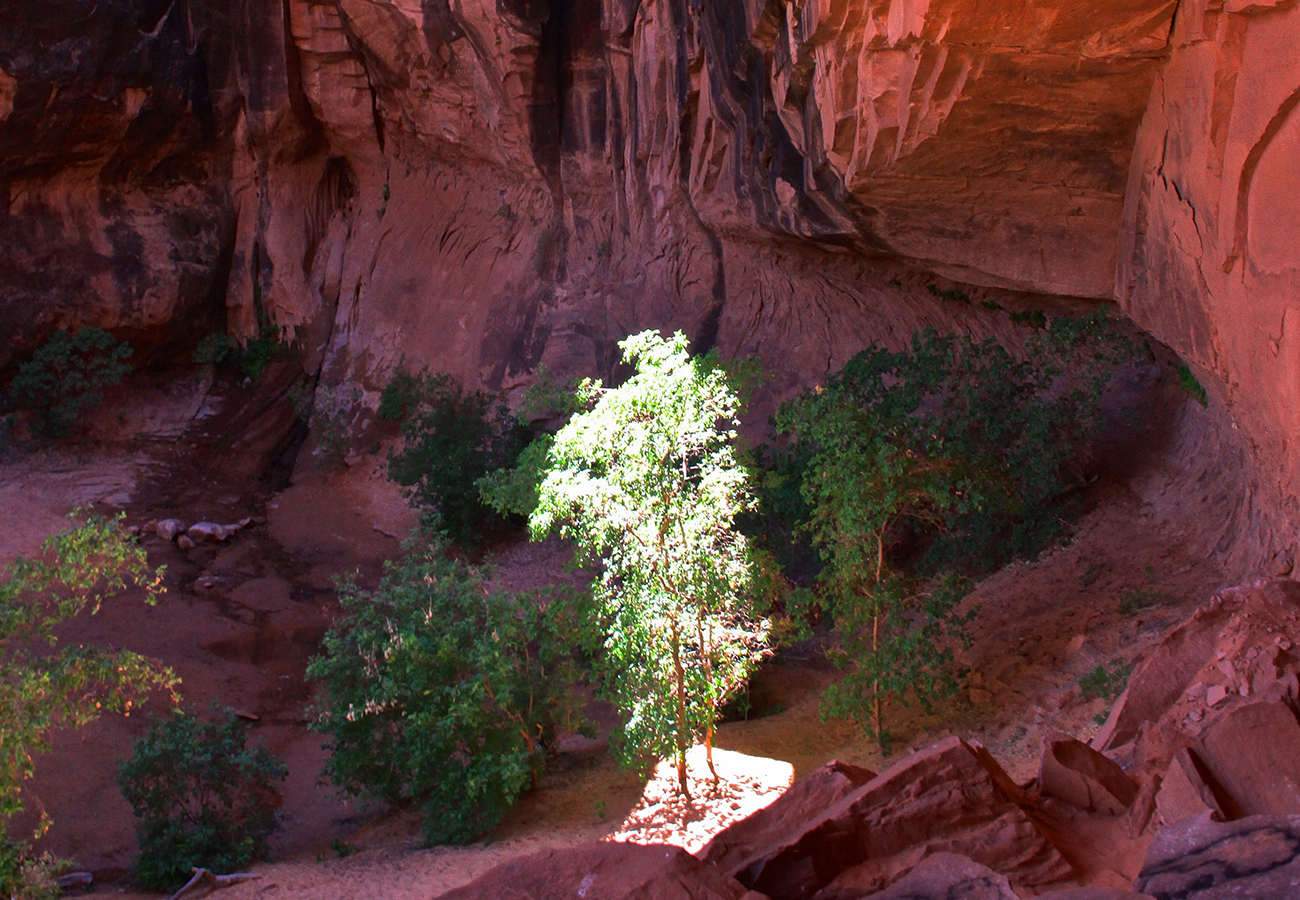 Grandstaff Trail | Visit Utah